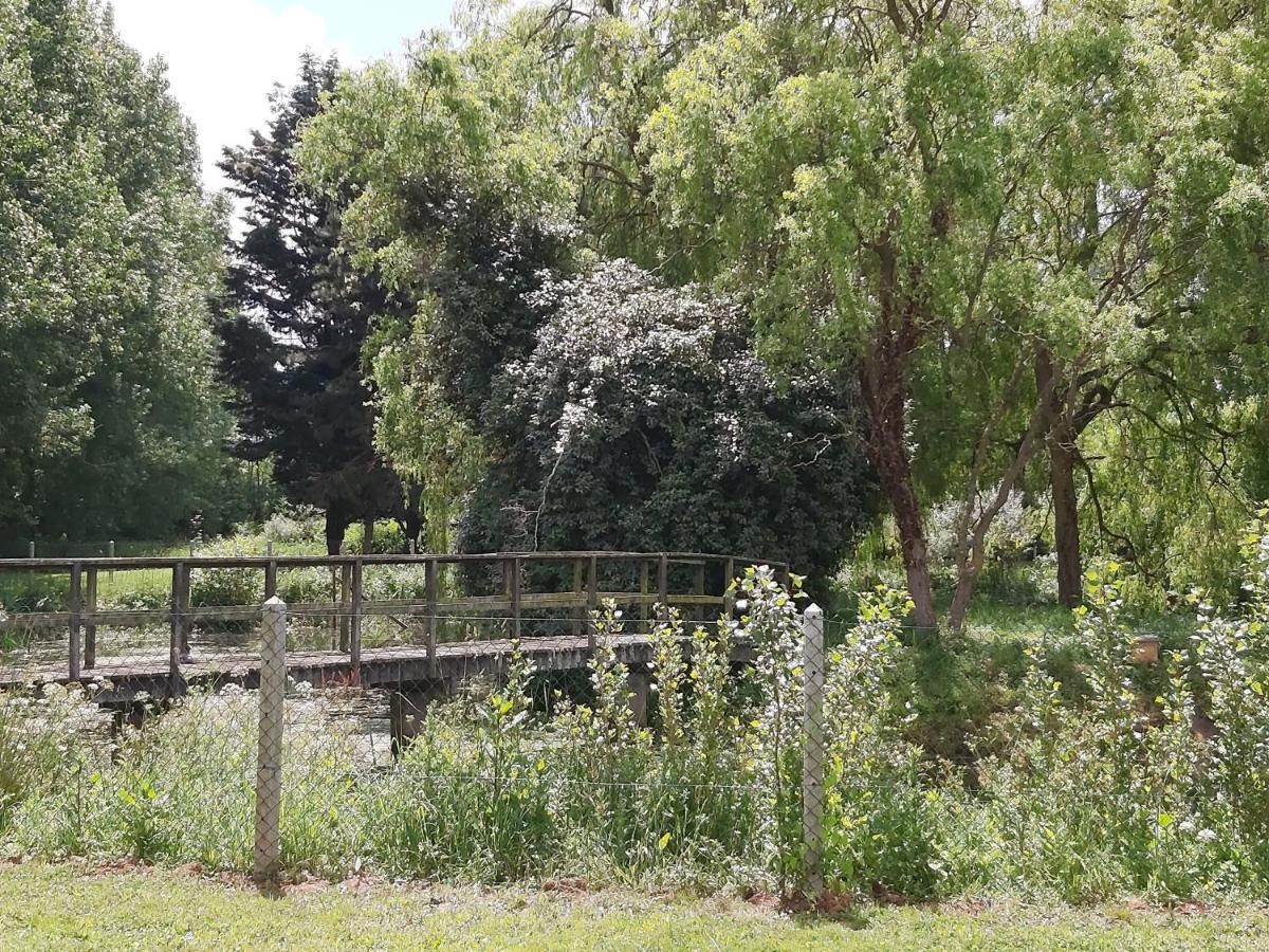Bed and Breakfast Le Bonheur Des Plumes Montmartin-en-Graignes Esterno foto