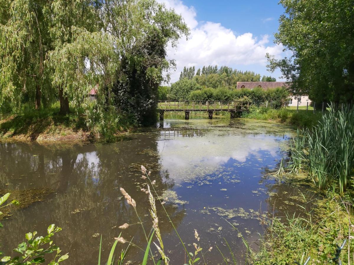Bed and Breakfast Le Bonheur Des Plumes Montmartin-en-Graignes Esterno foto